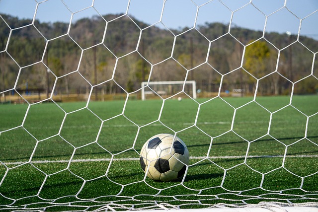 不仅影响球 不仅影响球