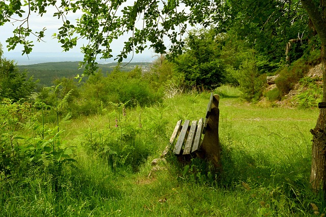 网的低轨卫 网的低轨卫