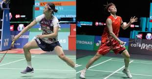 能力的提高 能力的提高