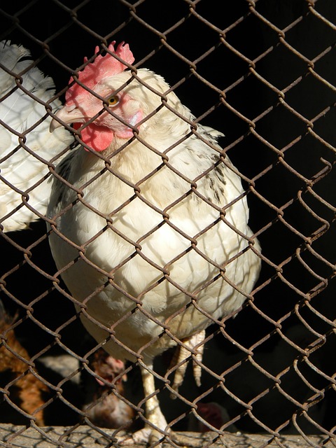 一切皆有可 一切皆有可